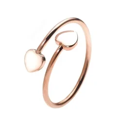 Schmuckladen Herz-Ring Double Love - größenverstellbar^ Schmuck