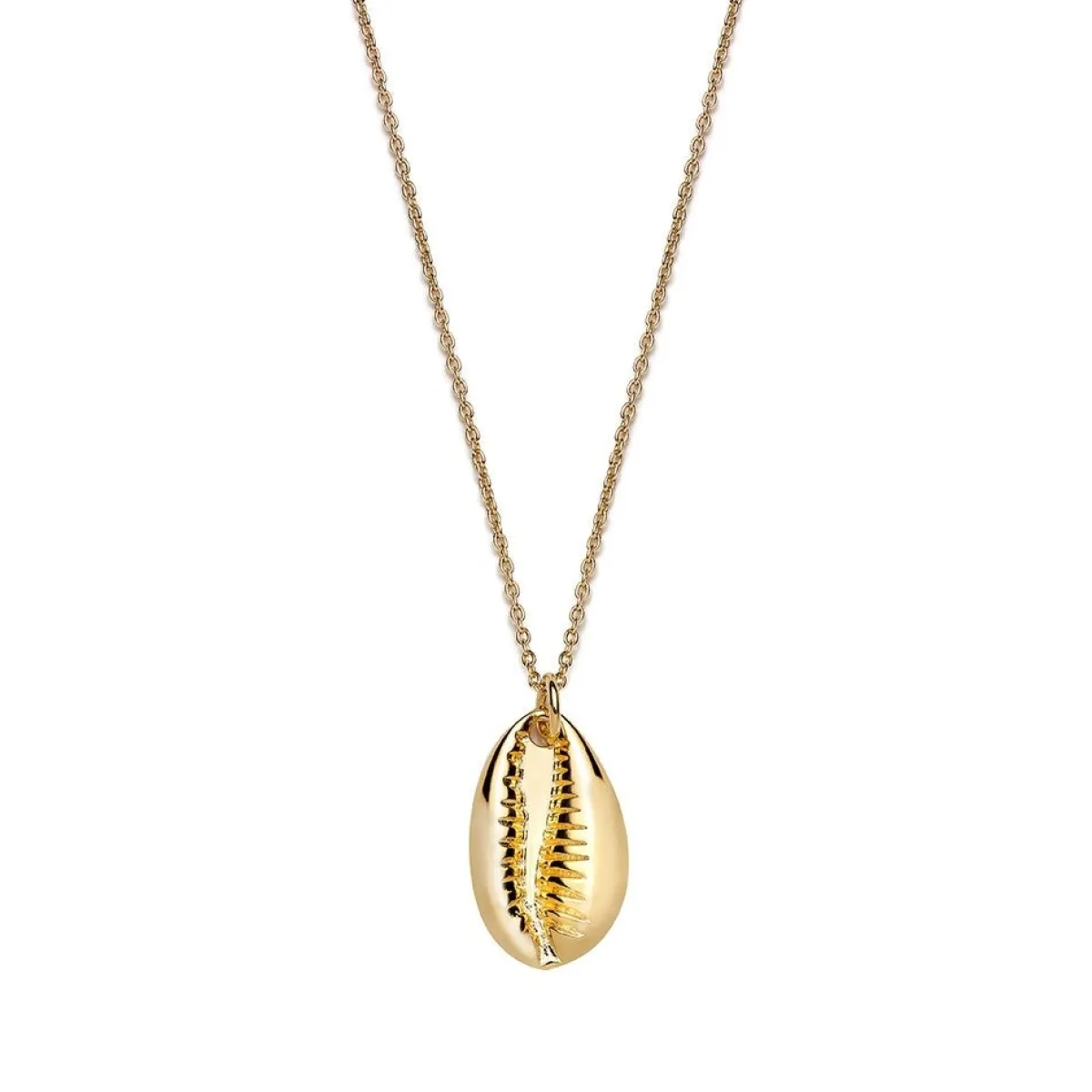 Schmuckladen Muschel-Halskette Kauri^ Edelstahl Halsketten|Schmuck