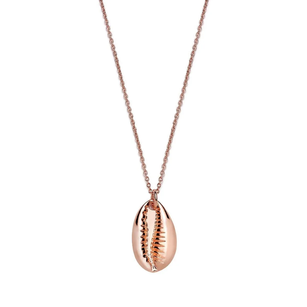 Schmuckladen Muschel-Halskette Kauri - 925 Sterlingsilber^ Schmuck