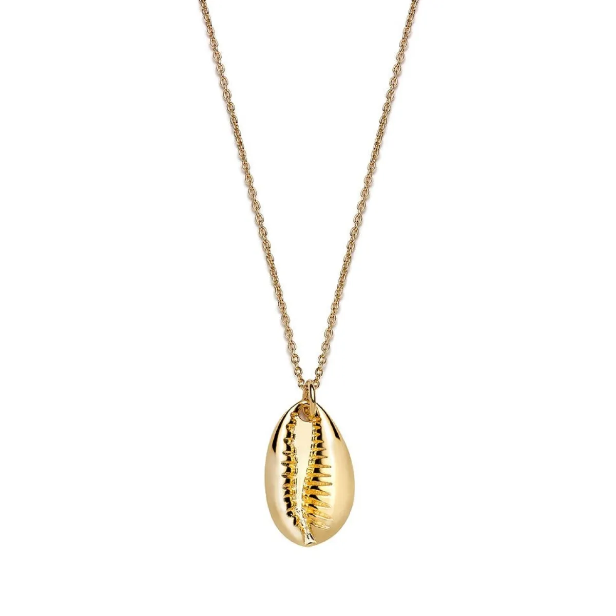 Schmuckladen Muschel-Halskette Kauri - 925 Sterlingsilber^ Schmuck