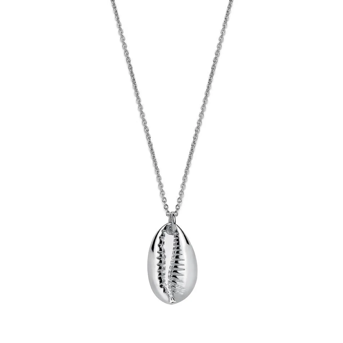 Schmuckladen Muschel-Halskette Kauri - 925 Sterlingsilber^ Schmuck