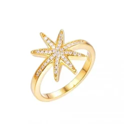 Schmuckladen Ring Polarstern - 925 Sterlingsilber^ Vergoldete Ringe|Schmuck