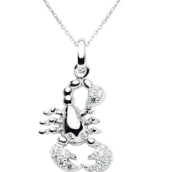 Schmuckladen Sternzeichen-Kette Symbol | 925 Sterlingsilber mit Zirkonia^ Sternzeichen-ketten|Schmuck
