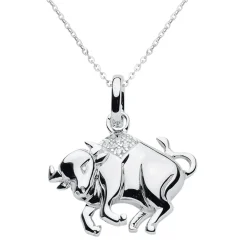 Schmuckladen Sternzeichen-Kette Symbol | 925 Sterlingsilber mit Zirkonia^ Sternzeichen-ketten|Schmuck